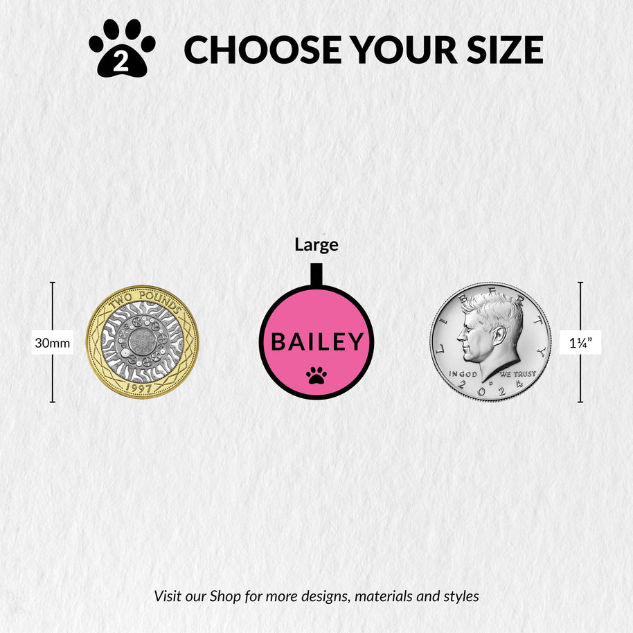 Personalised Engraved Colourful Bold Silicone Pet Tag