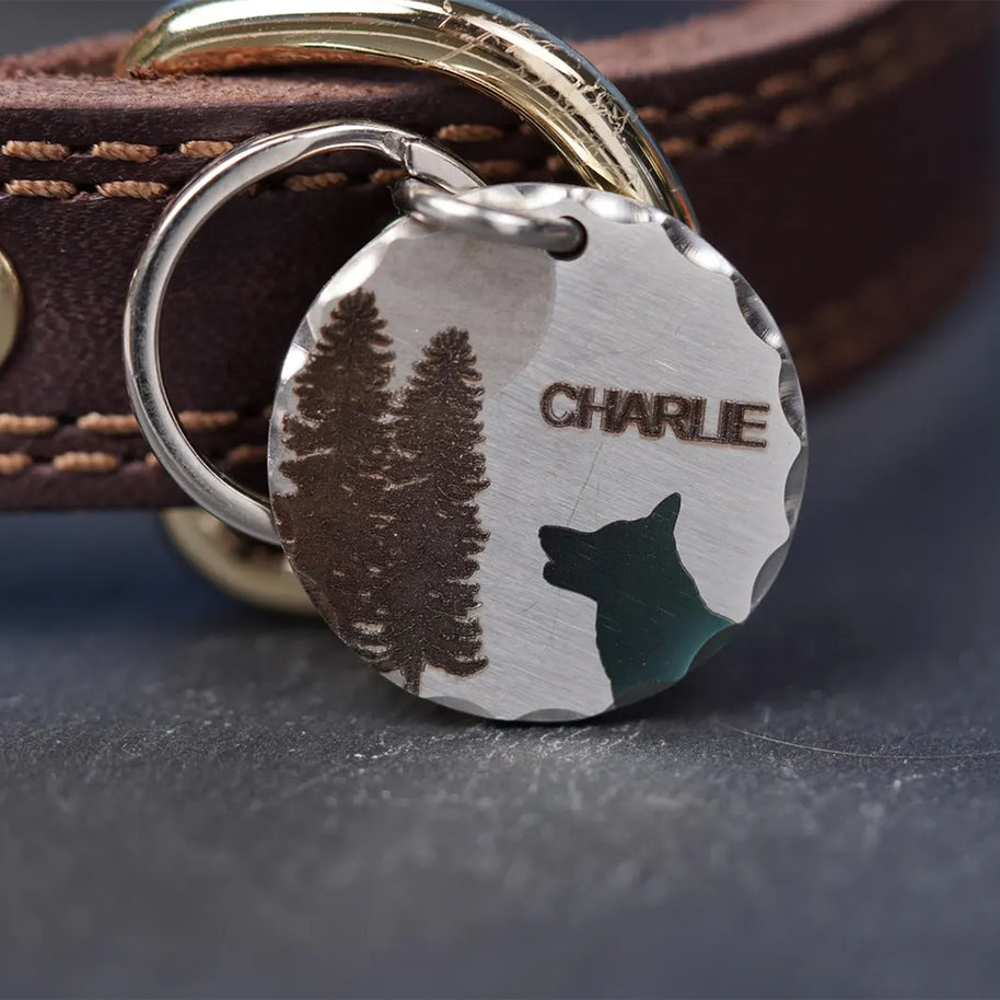 Personalised Colour Engraved Stainless Steel Pet Tags