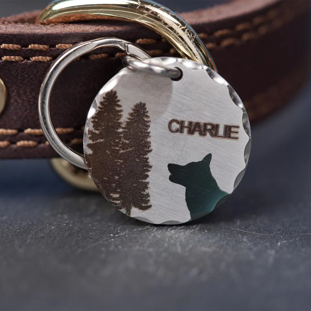 Personalised Colour Engraved Stainless Steel Pet Tags