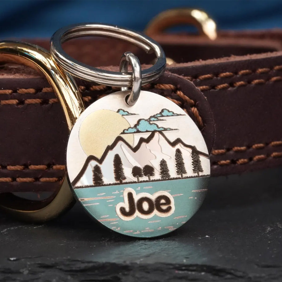 Personalised Colour Engraved Stainless Steel Pet Tags