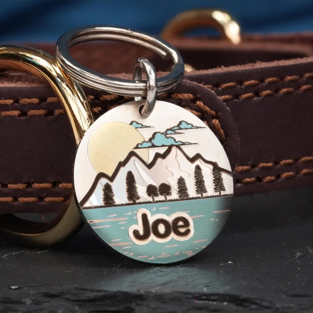 Personalised Colour Engraved Stainless Steel Pet Tags