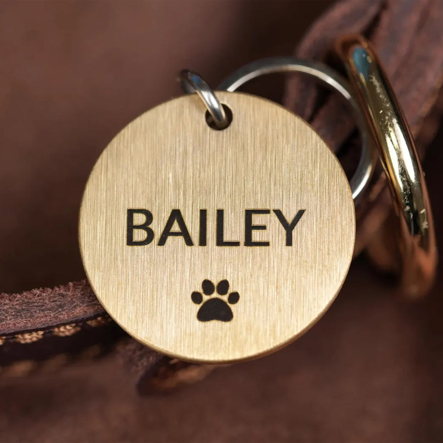 Personalised Engraved Brass Pet Tag