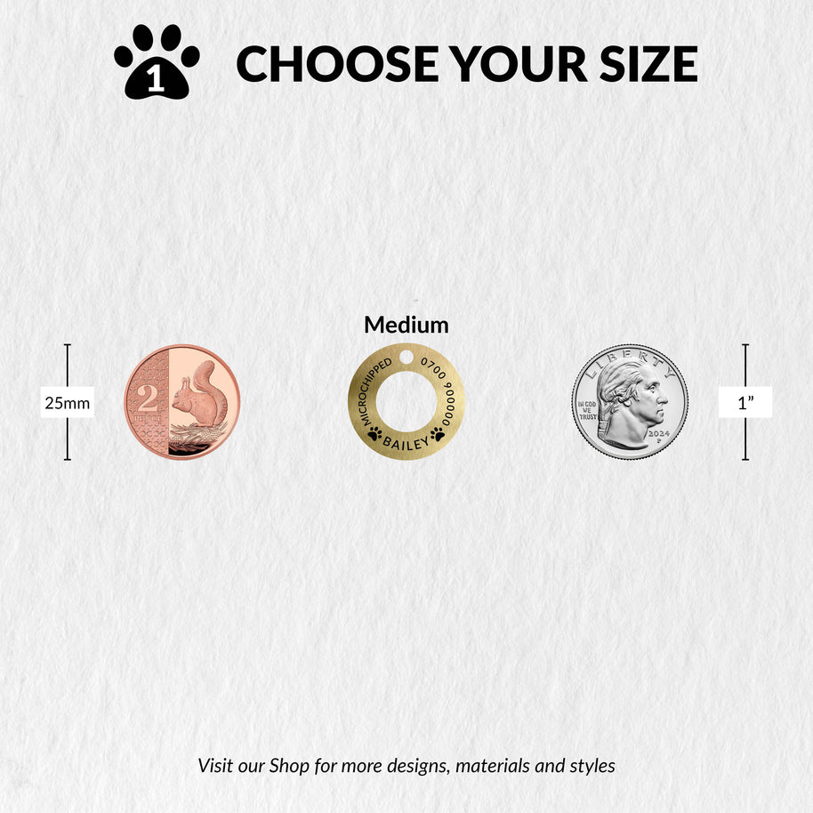 Personalised Engraved Brass Ring Pet Tag