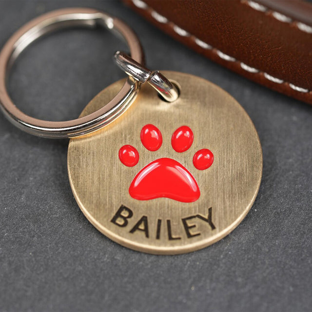 Personalised Deep Engraved with Colour Brass Pet Tag