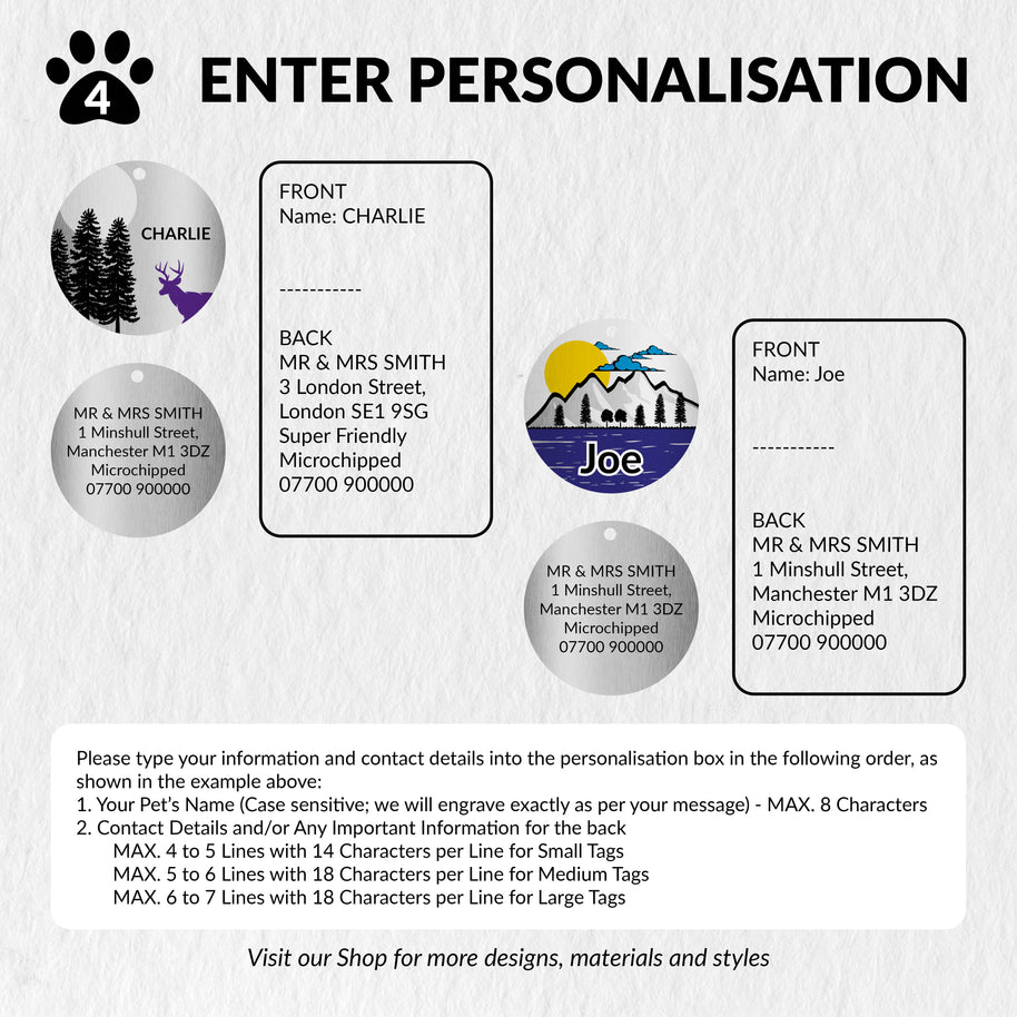 Personalised Colour Engraved Stainless Steel Pet Tags